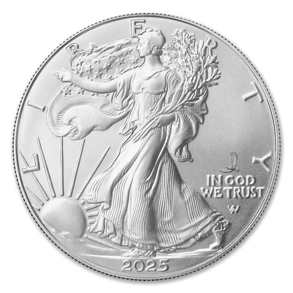1 oz American Silver Eagle Coin X6510