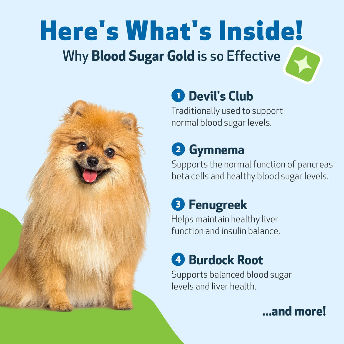 Blood Sugar Support for Dogs 2 oz C79517