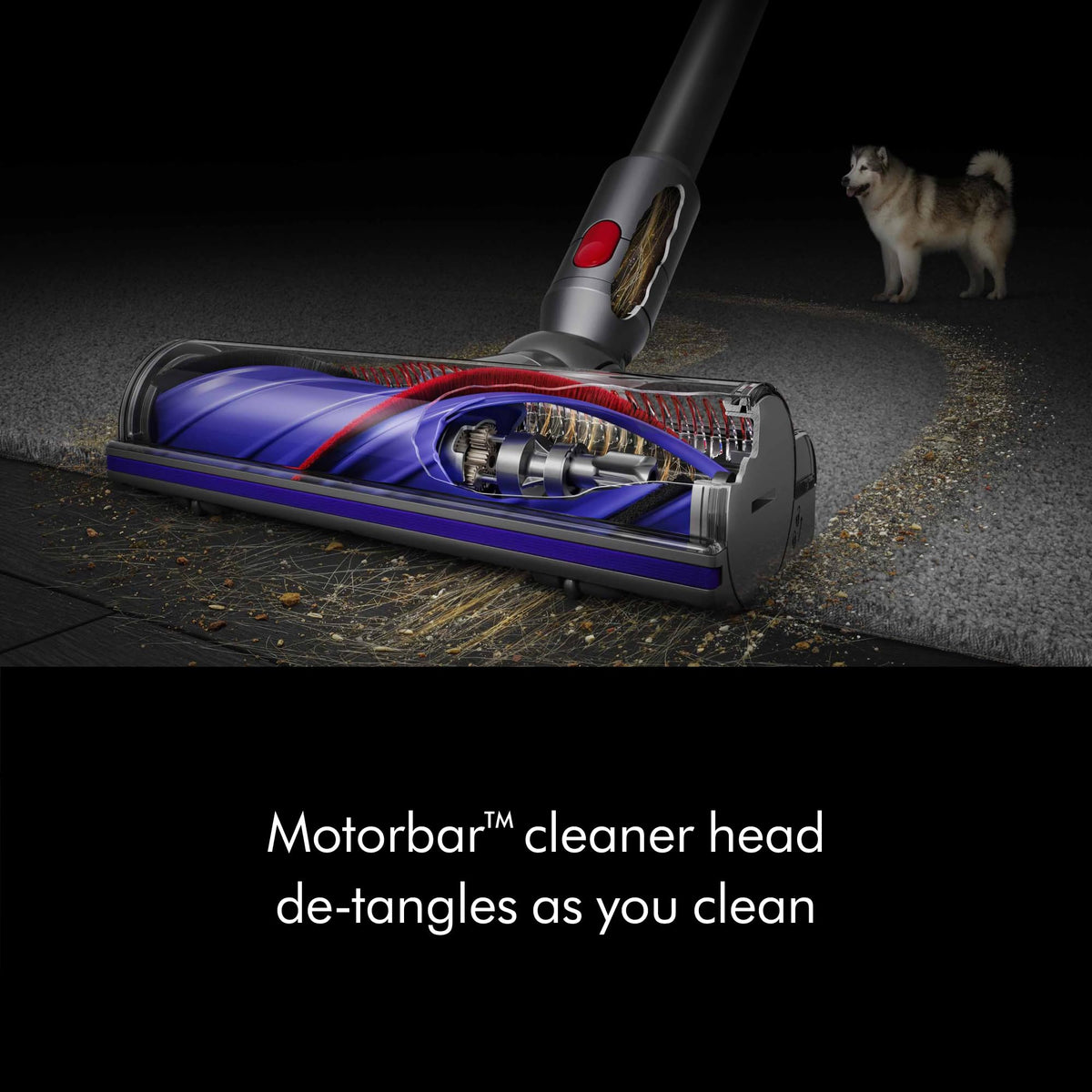 Cordless Vacuum, 115AW, 2 Power Modes L569