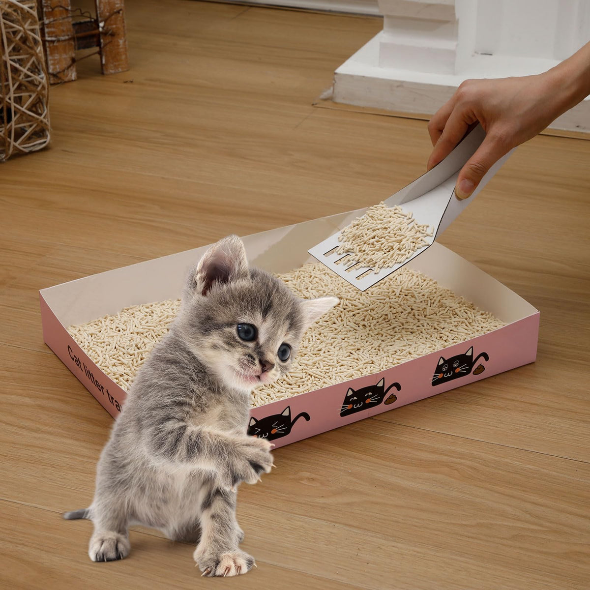 60 Pcs Disposable Cat Litter Boxes with Scoops W793535