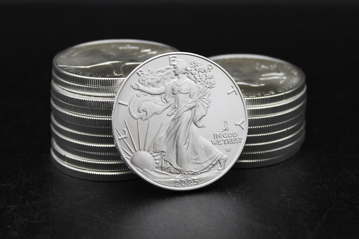 1 oz American Silver Eagle Coin X6510