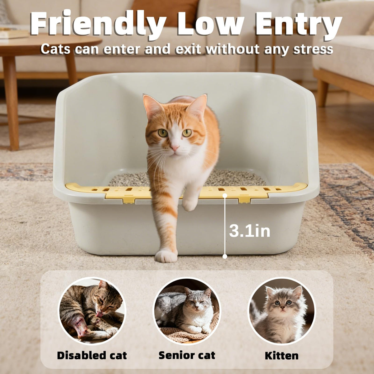 High Sides Open Top Cat Litter Box with Low Entry D214