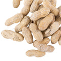 Roasted Salted in-Shell Peanuts 25 lb L917447