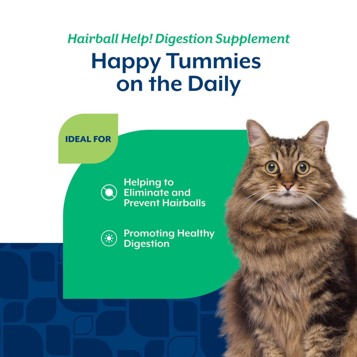 Hairball Aid Scoopable Supplement for Cats 5.5oz B1014