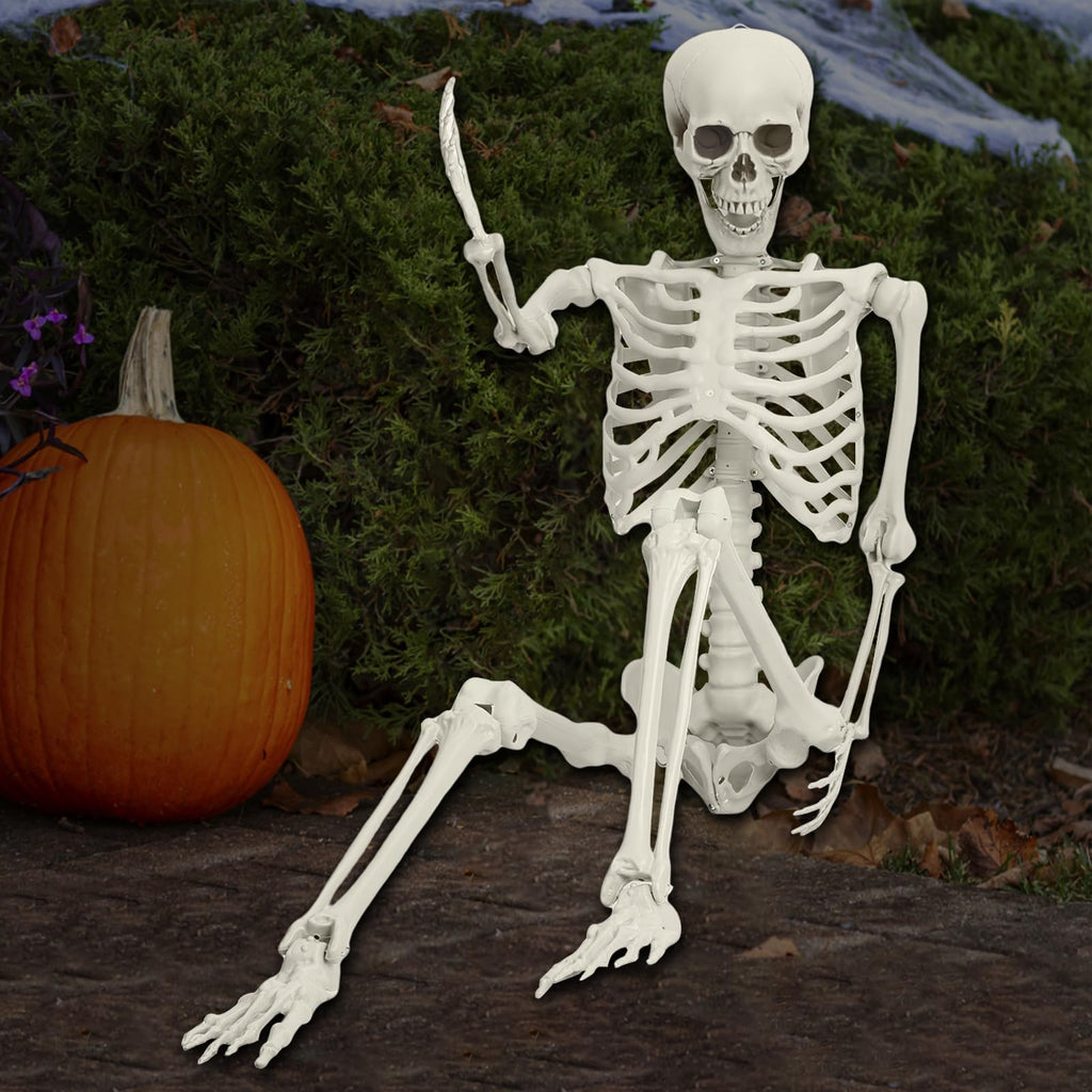 5.4FT Posable Skeleton with Movable Joints T8072