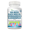 Sea Moss for Dogs O97818