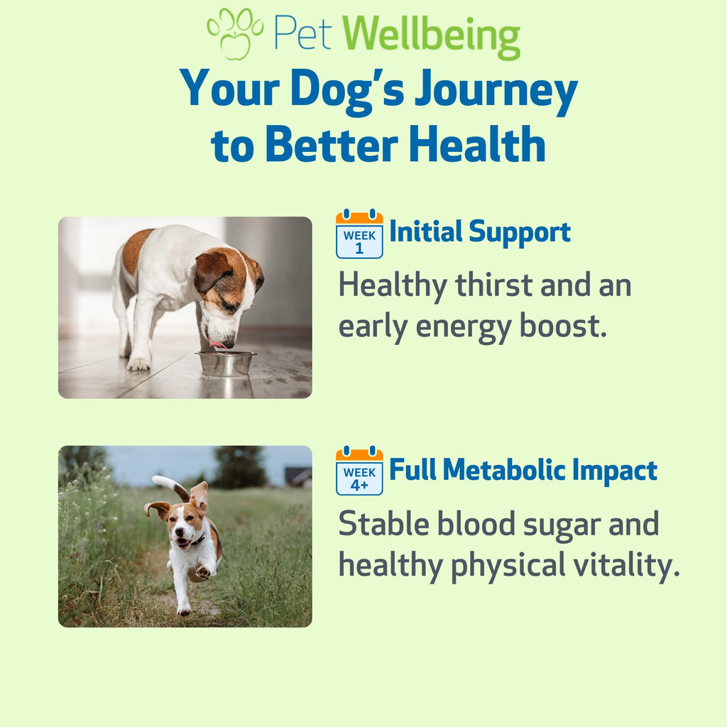 Blood Sugar Support for Dogs 2 oz C79517
