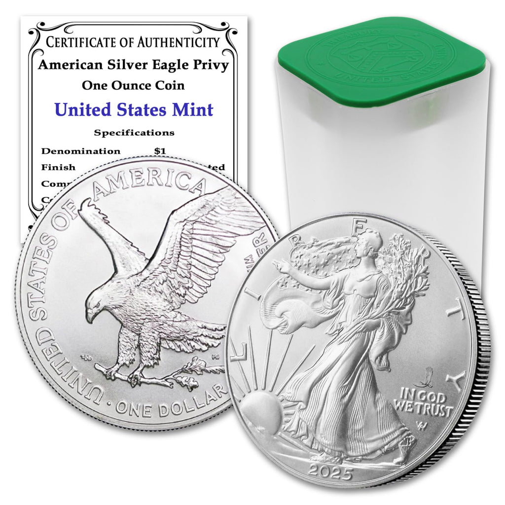 1 oz American Silver Eagle Coin X6510