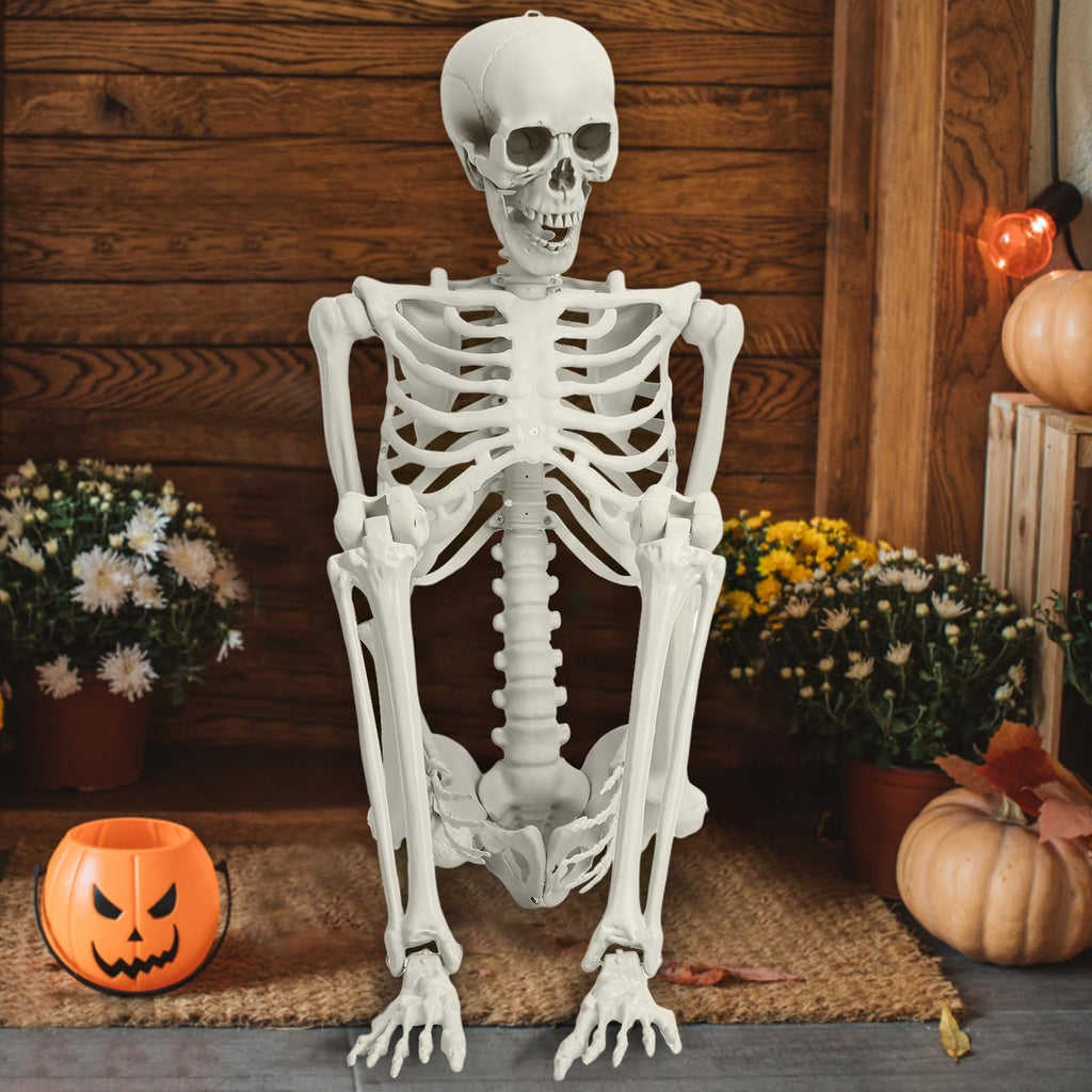 5.4FT Posable Skeleton with Movable Joints T8072