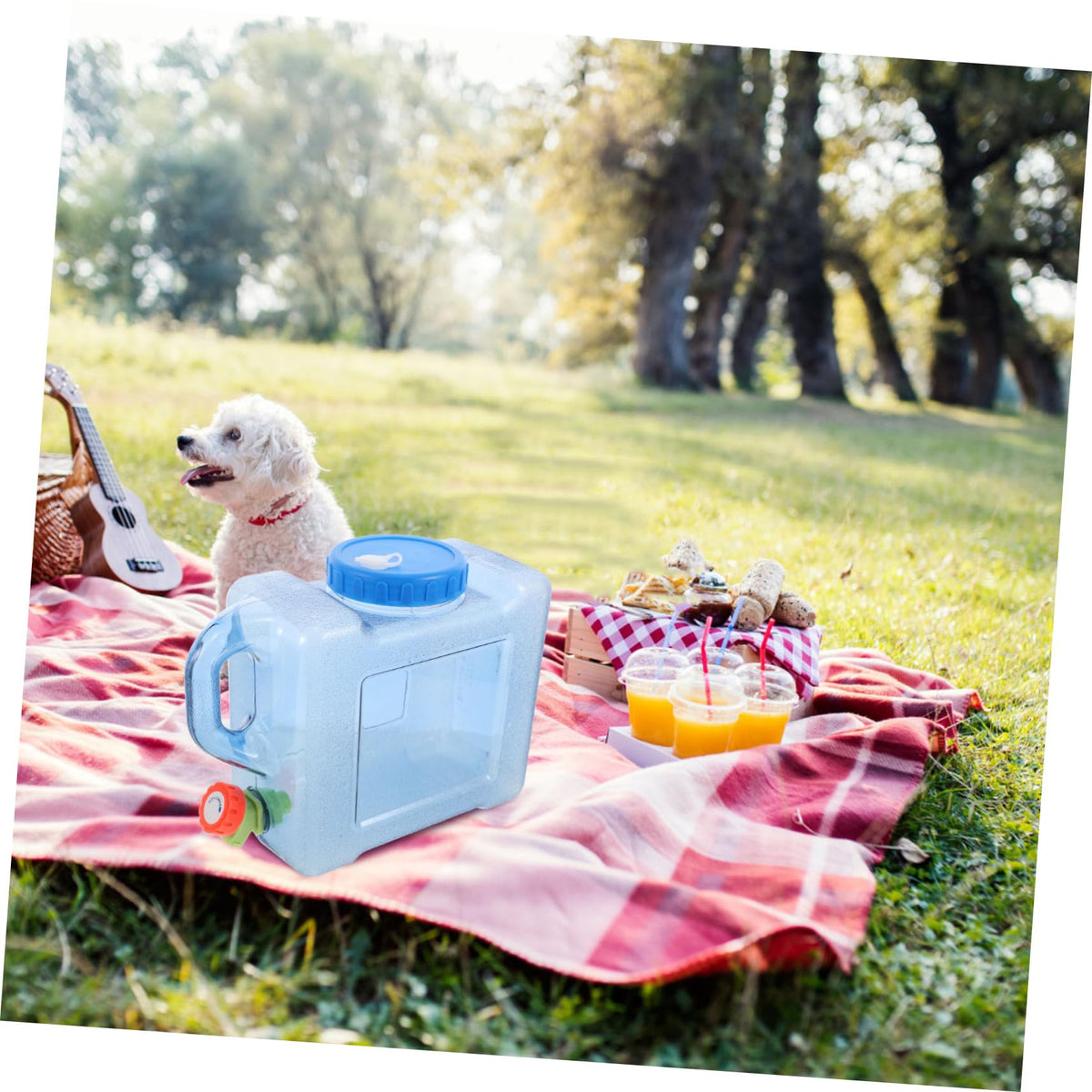 Portable 5L Blue Water Bucket R937