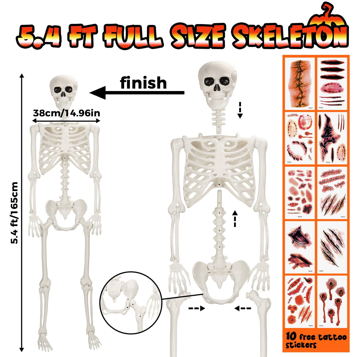 Life Size Poseable Skeleton R132944