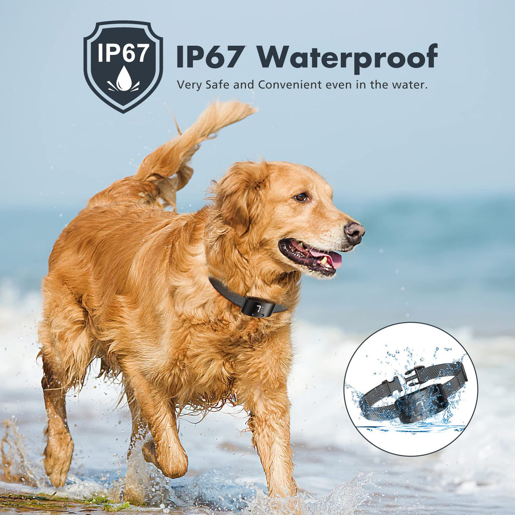 Rechargeable Anti Barking Training Collar B1212