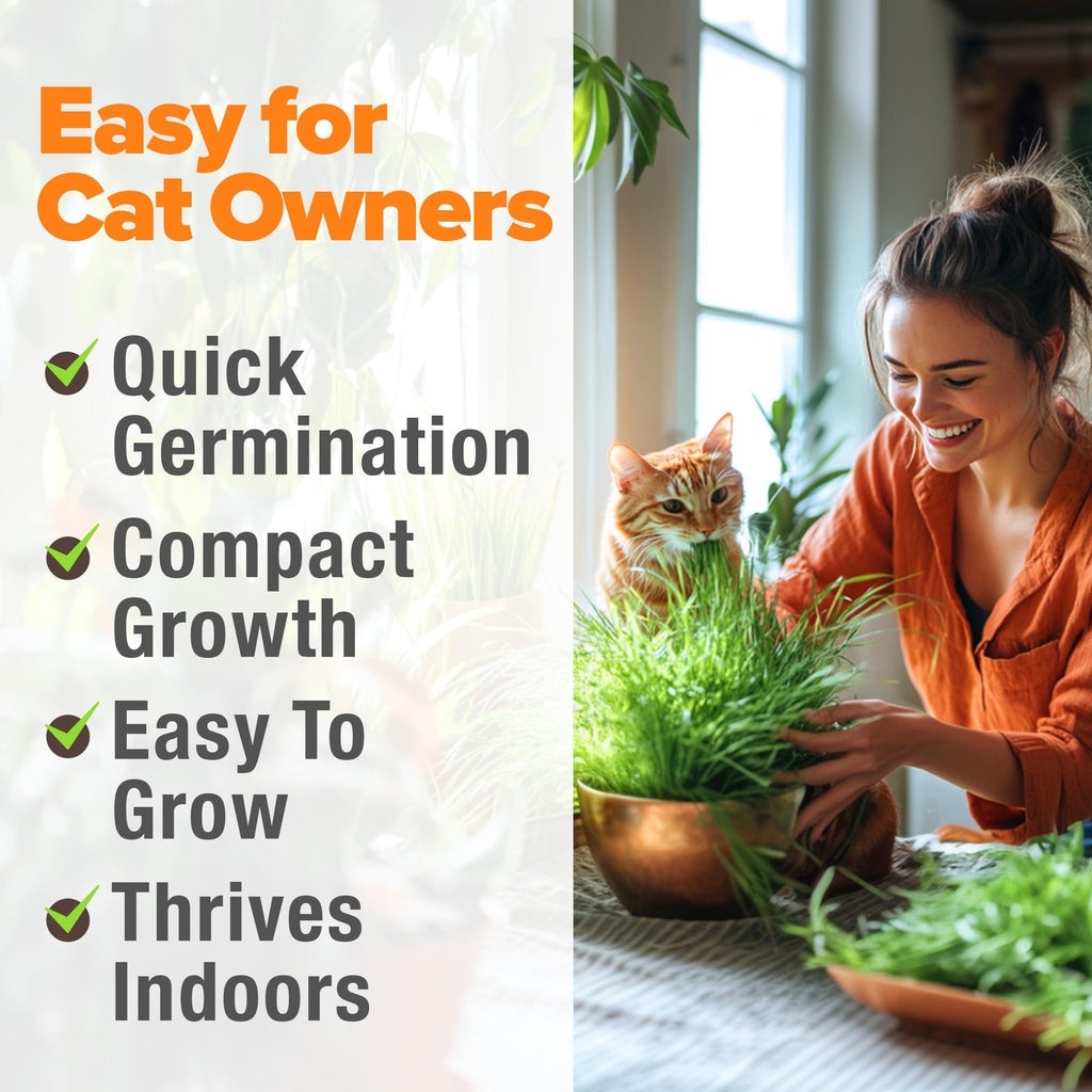6 oz Heirloom Barley & Oat Cat Grass Seeds Q76481