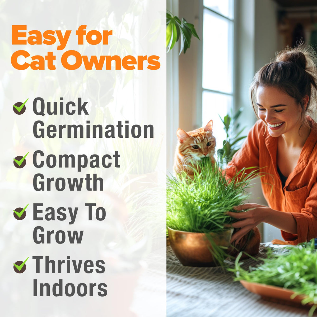6 oz Heirloom Barley & Oat Cat Grass Seeds Q76481
