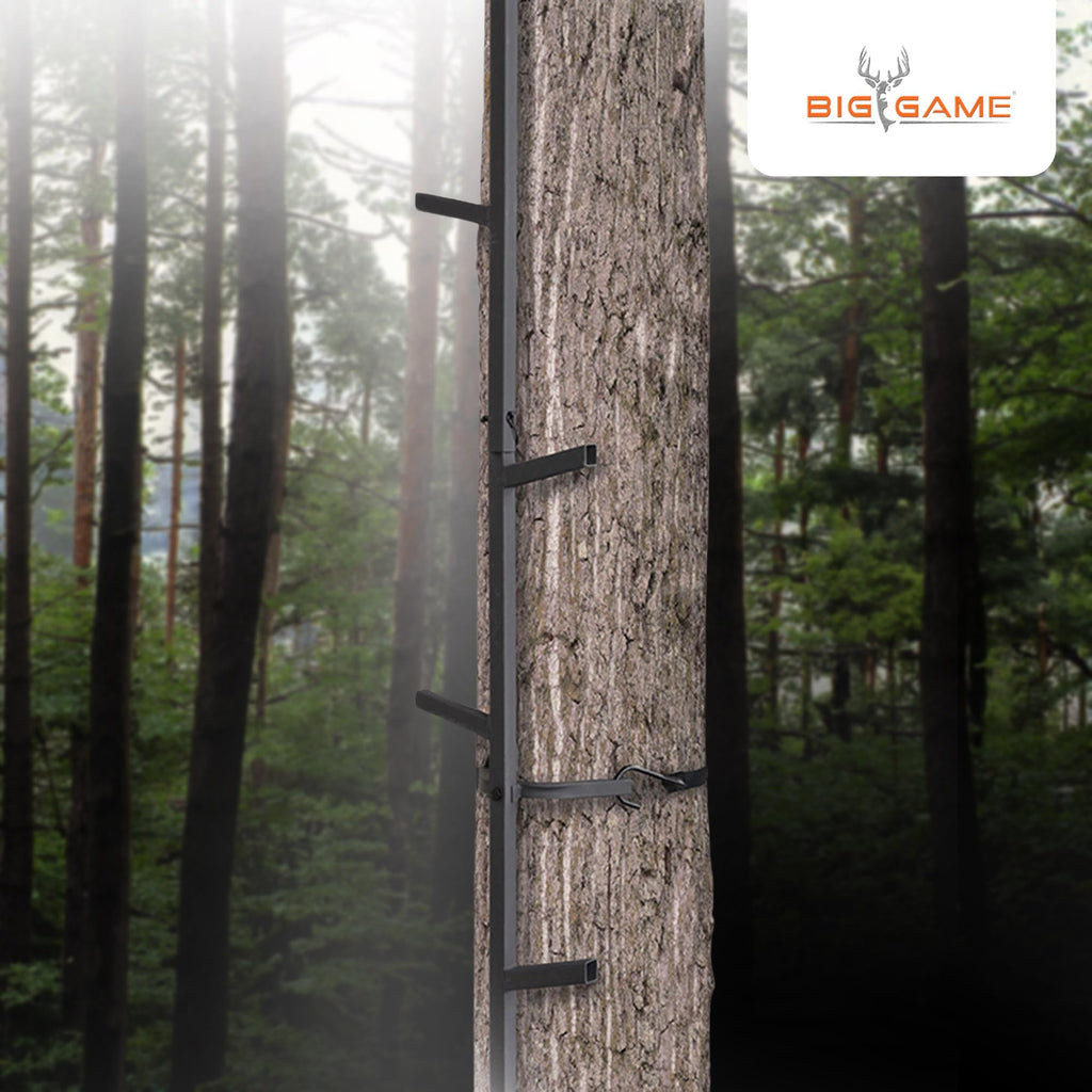 Climbing Ladder Sticks, 20’ Quick-Stick N416281