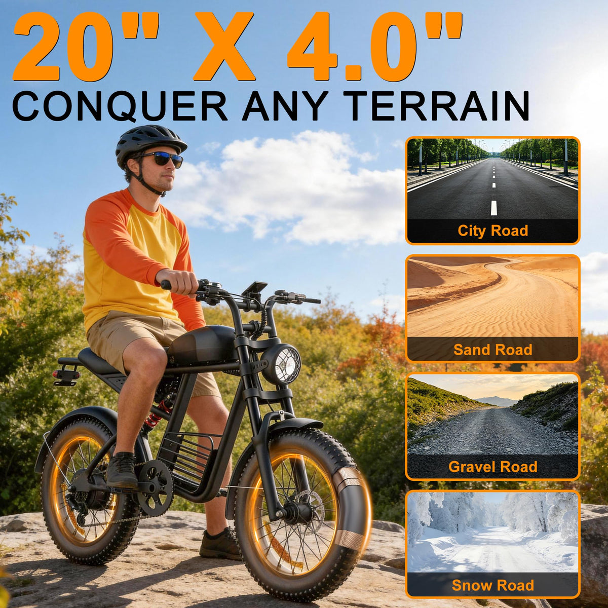 1000W Peak Motor 20" Fat Tire Electric Bike F213