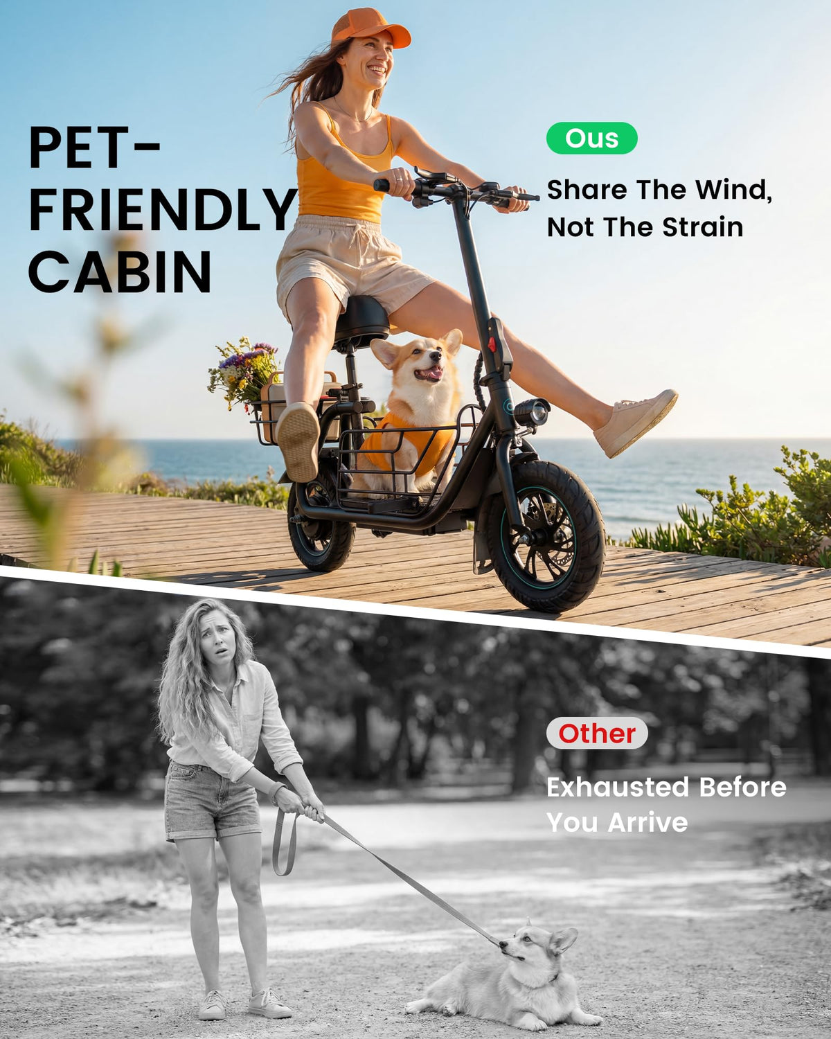Electric Scooter with Seat J25105