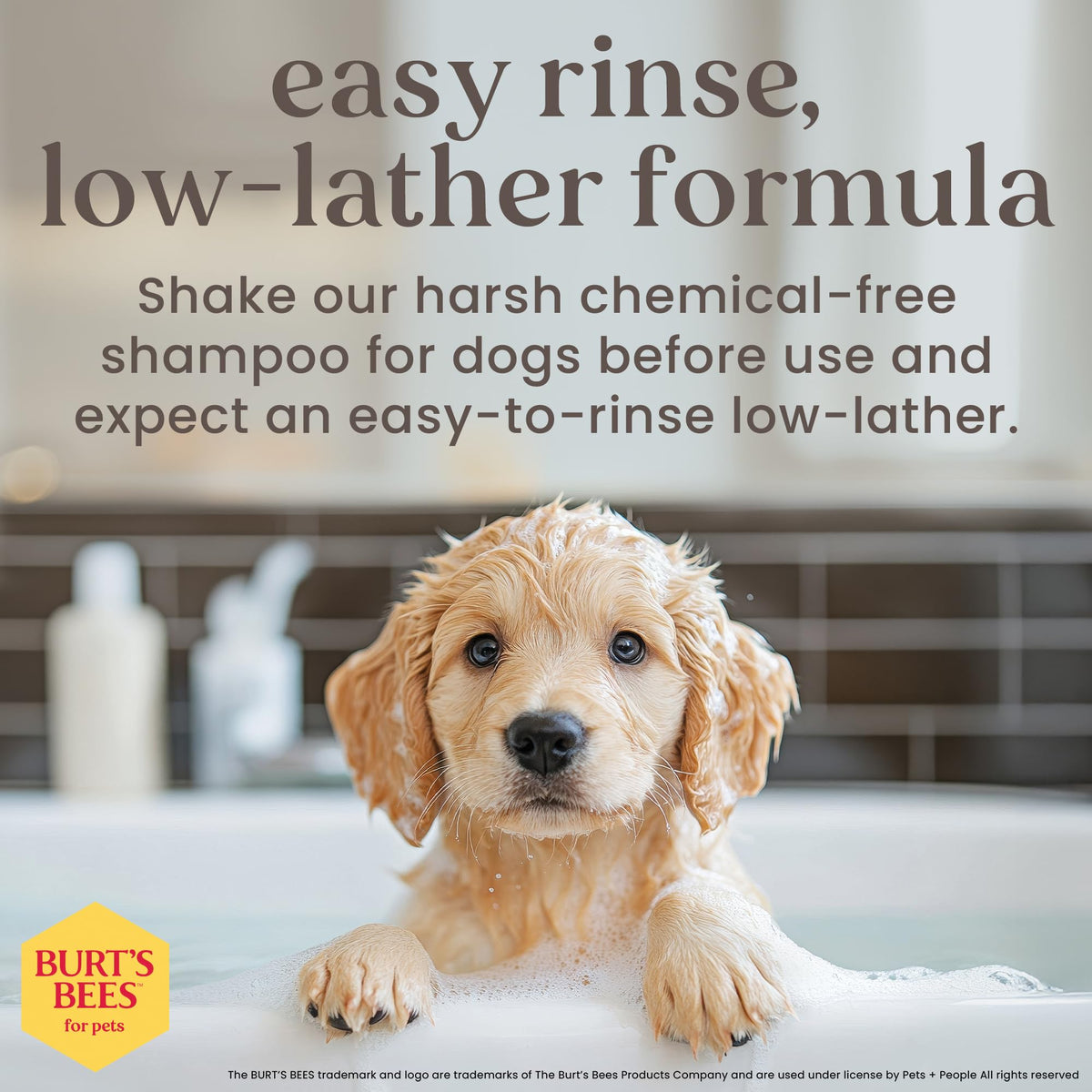 Tearless Puppy Shampoo & Conditioner with Buttermilk, 16 Fl Oz X35029