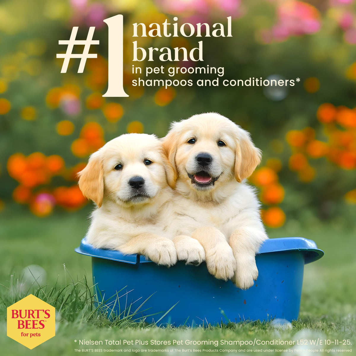Tearless Puppy Shampoo & Conditioner with Buttermilk, 16 Fl Oz X35029