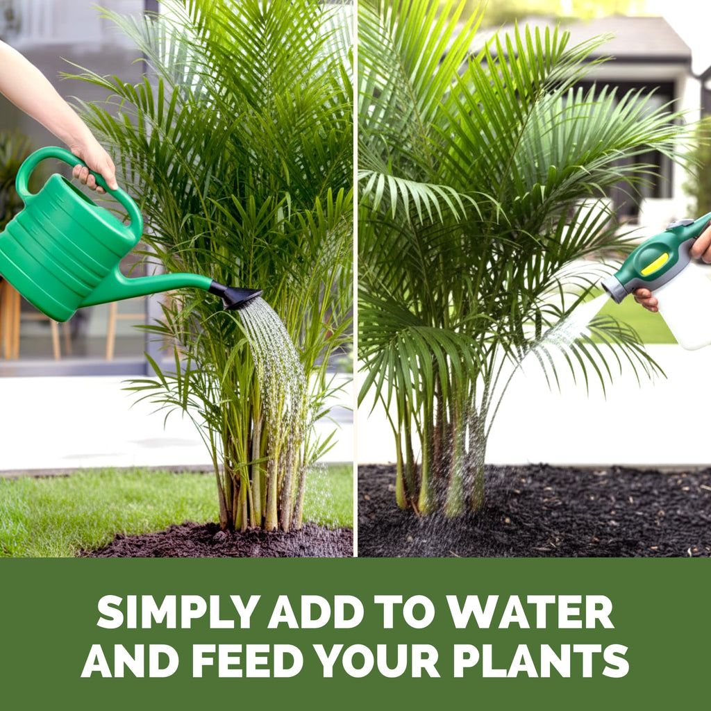10-10-10 Liquid Fertilizer 32 oz I953
