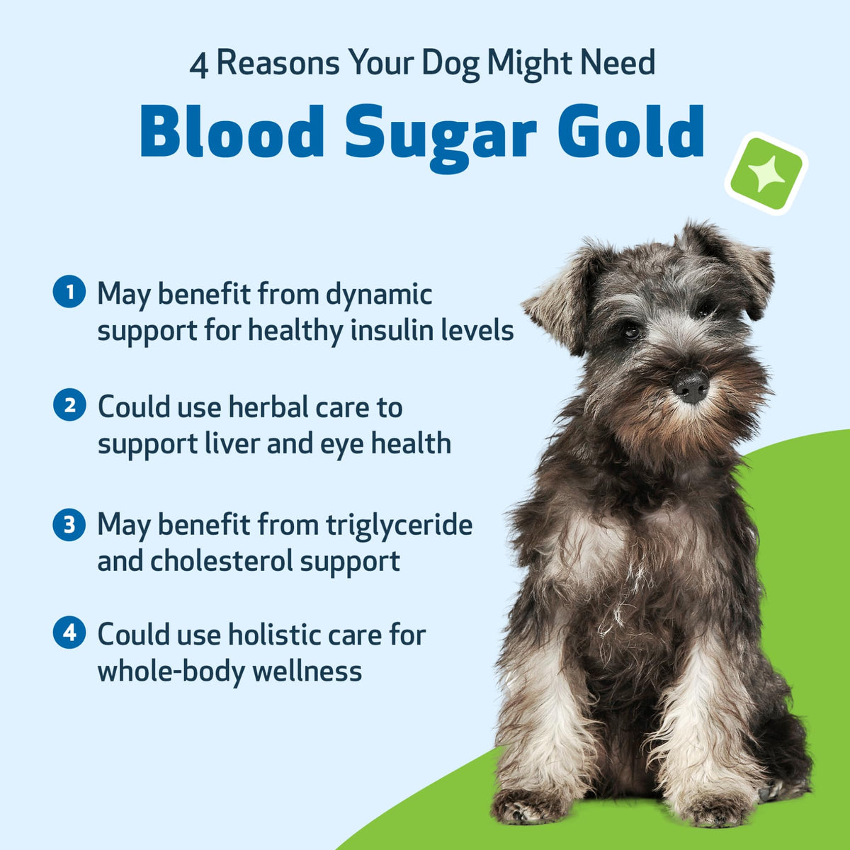 Blood Sugar Support for Dogs 2 oz C79517