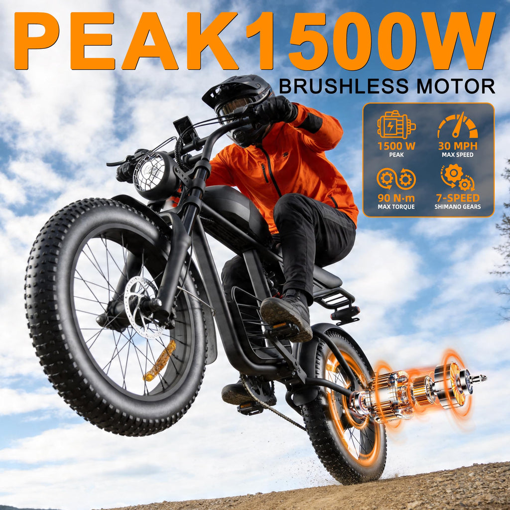 1000W Peak Motor 20" Fat Tire Electric Bike F213