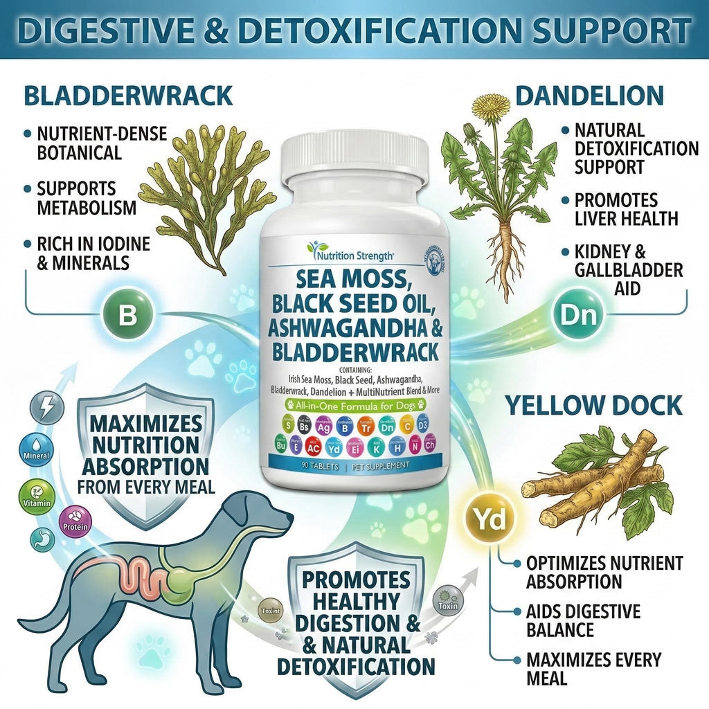 Sea Moss for Dogs O97818