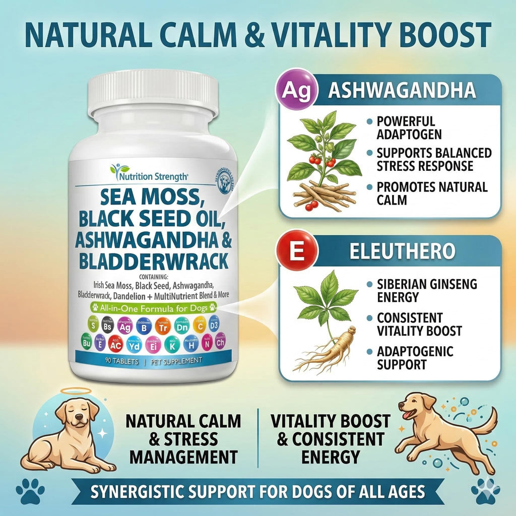 Sea Moss for Dogs O97818