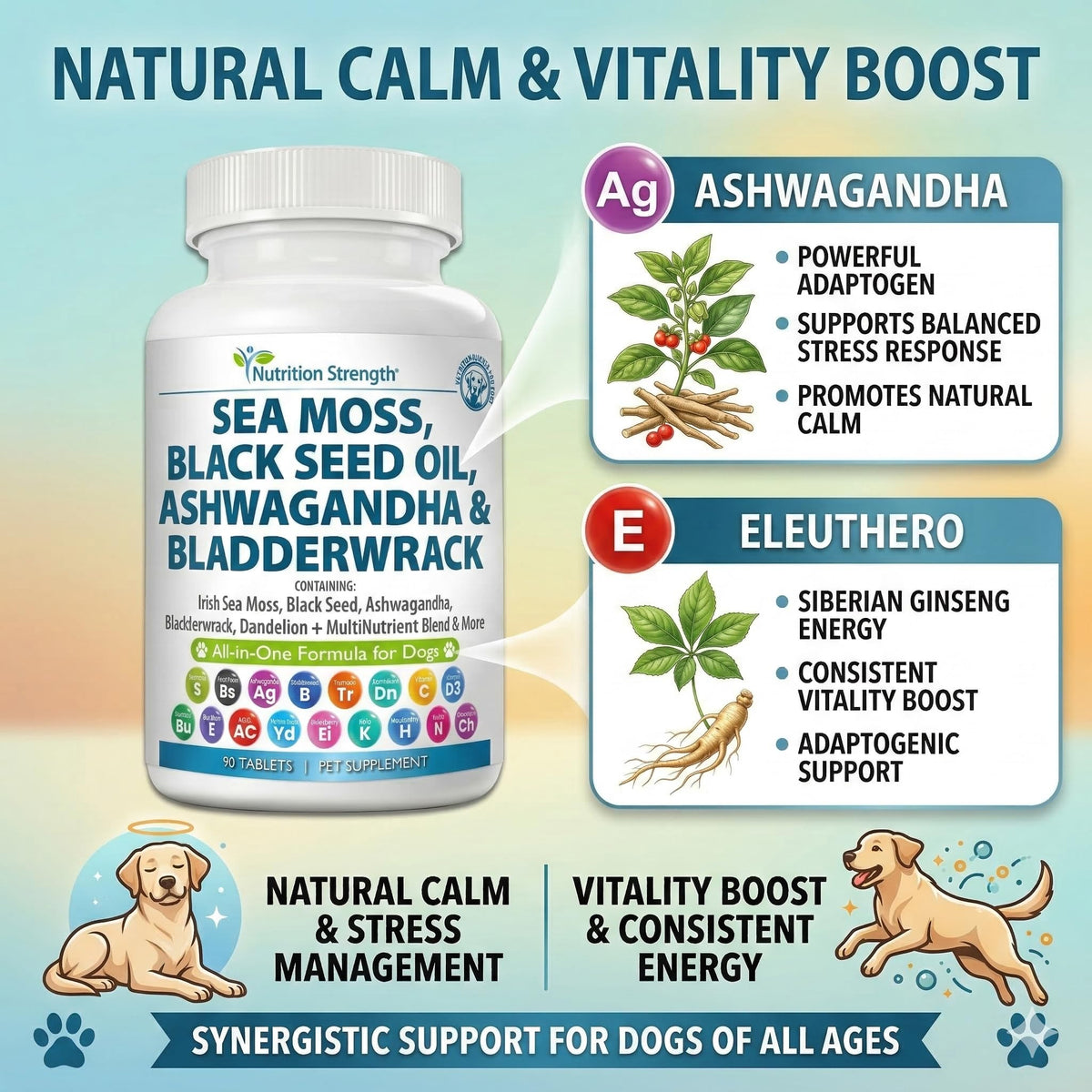 Sea Moss for Dogs O97818