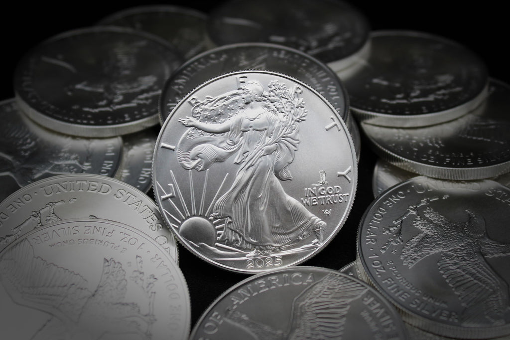 1 oz American Silver Eagle Coin X6510