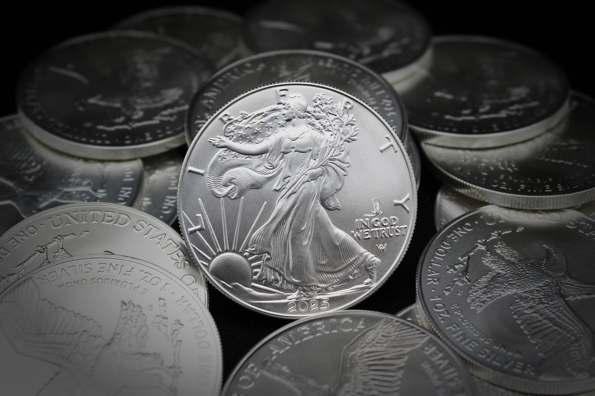1 oz American Silver Eagle Coin X6510