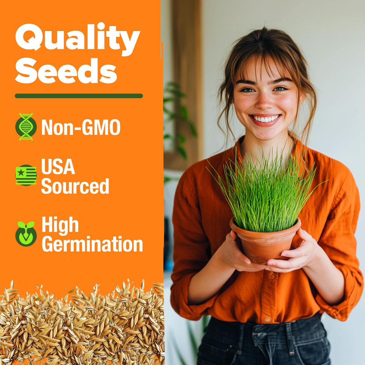 6 oz Heirloom Barley & Oat Cat Grass Seeds Q76481