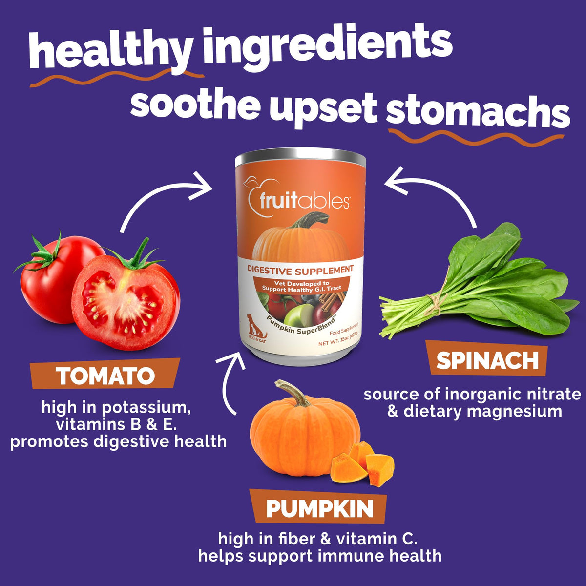Pumpkin Digestive Supplement for Dogs 15oz R1000