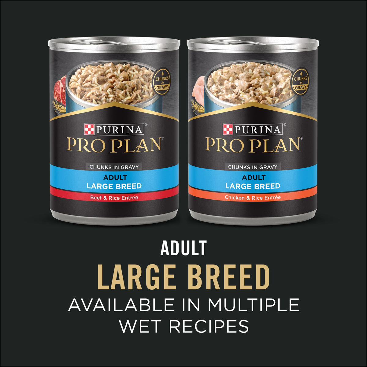 Chicken & Rice Large Breed Dry Dog Food 34 lb Bag W99431