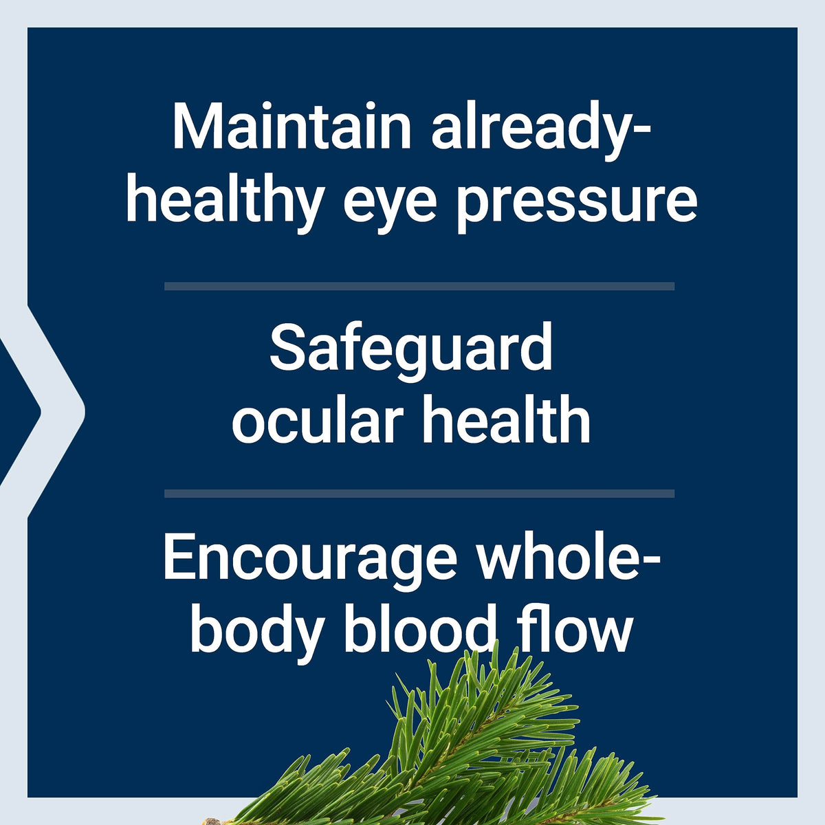 Eye Pressure Support with Mirtogenol, 30 Capsules B5567