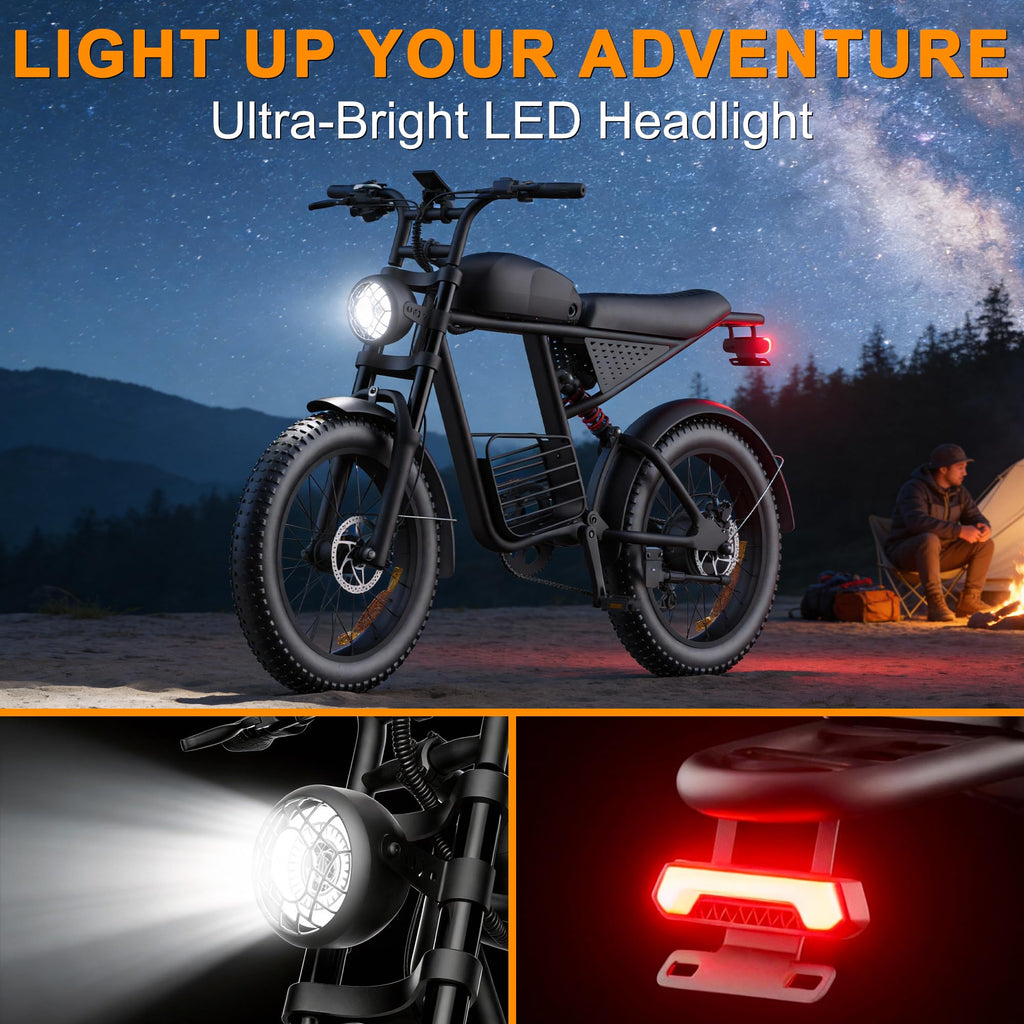 1000W Peak Motor 20" Fat Tire Electric Bike F213