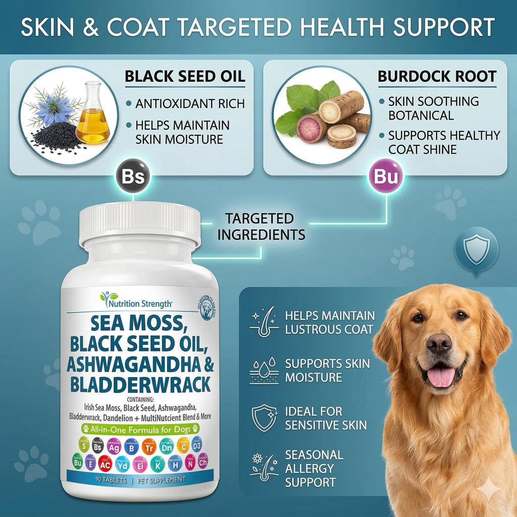 Sea Moss for Dogs O97818