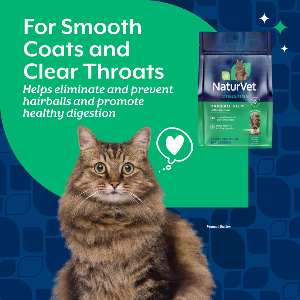 Hairball Aid Scoopable Supplement for Cats 5.5oz B1014