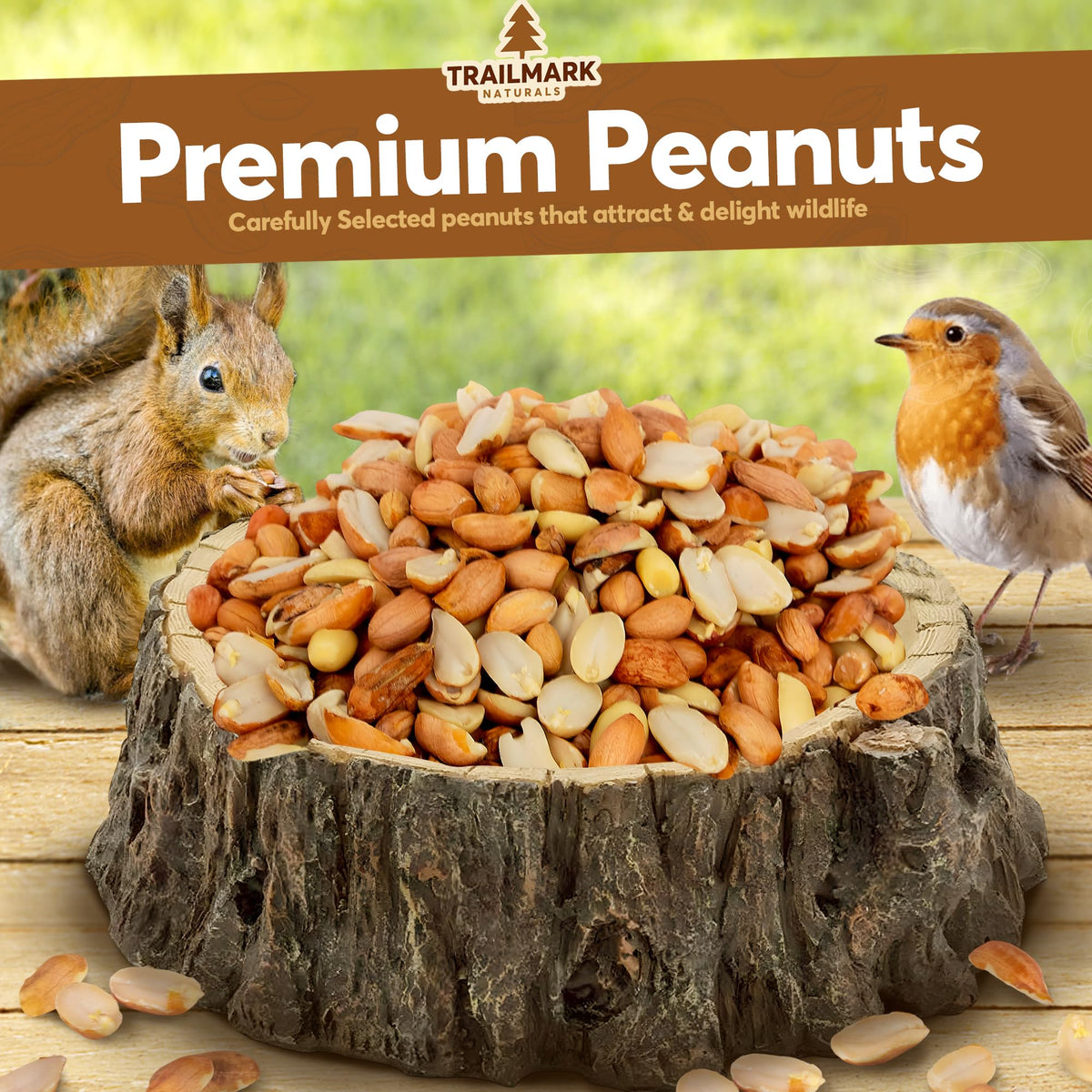 Raw Shelled Peanuts 20 LB J958067