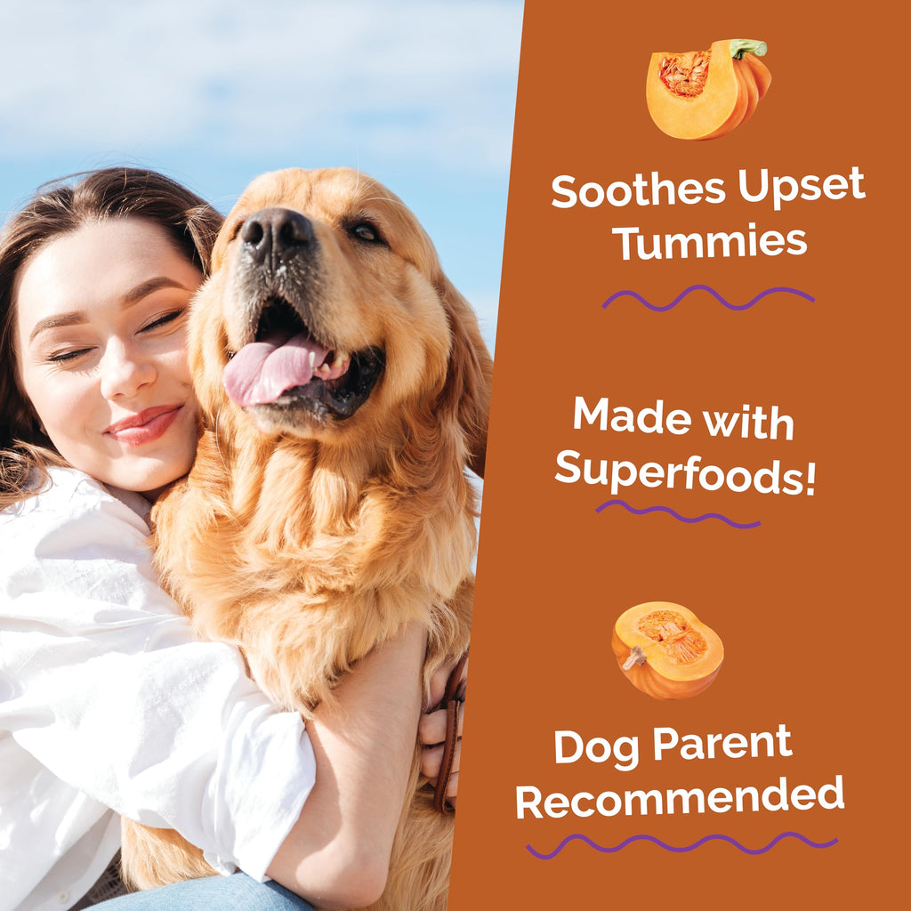 Pumpkin Digestive Supplement for Dogs 15oz R1000