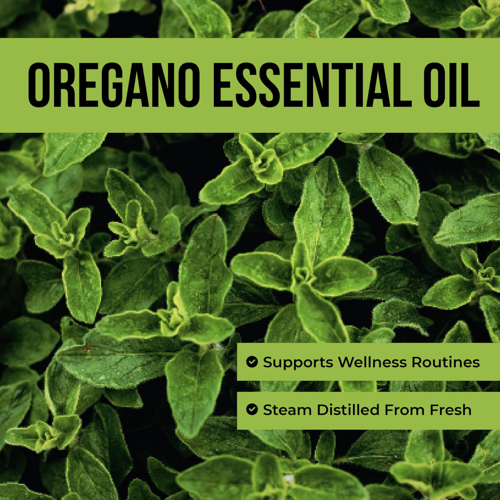 Steam Distilled Oregano Essential Oil 4 Fl Oz P26913