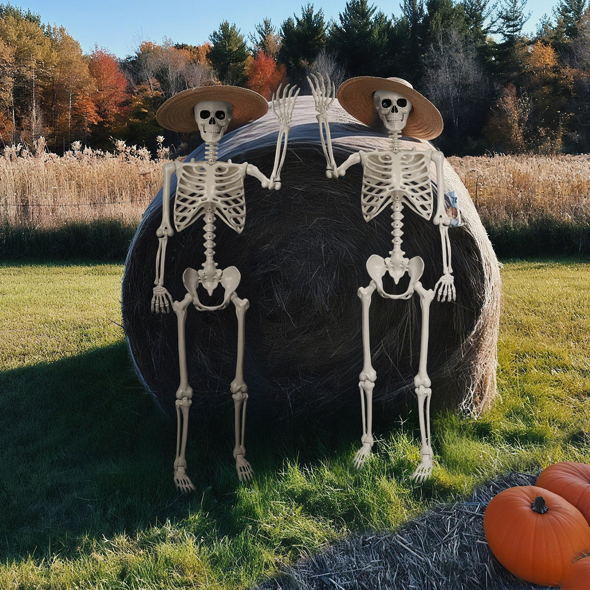 Life Size Poseable Skeleton R132944