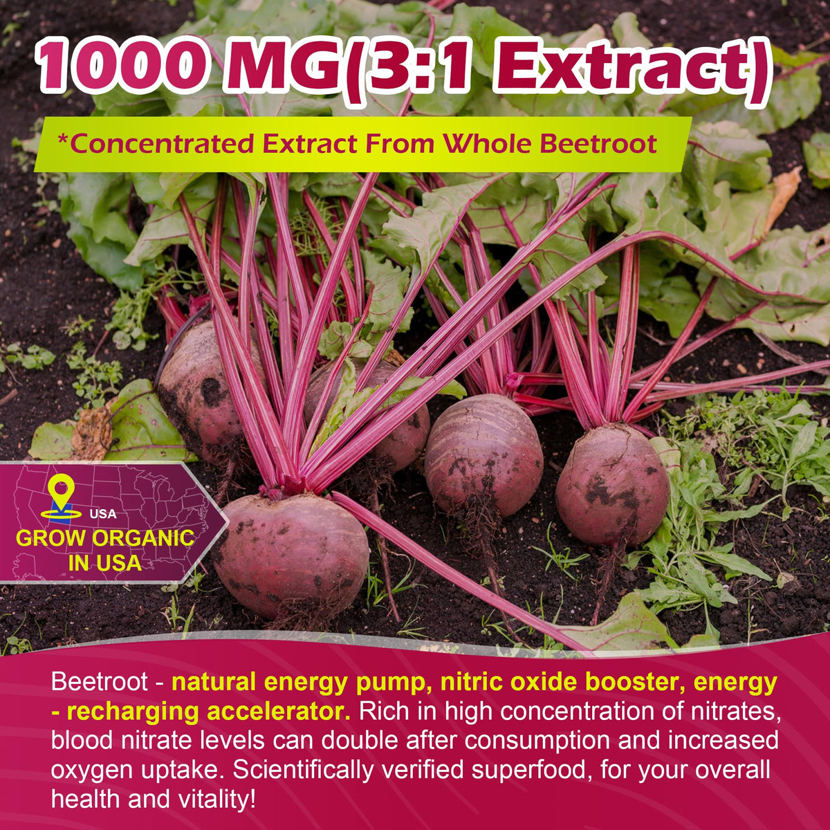 Sugar Free Beet Root Gummies with L-Citrulline & L-Arginine X6027